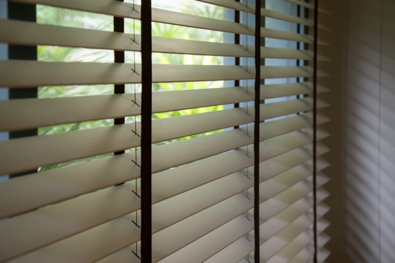 Venetian Blinds Cleaning in Prescott Valley, AZ